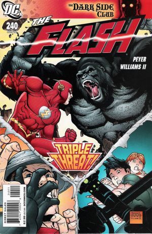 Details about   The Flash #244 November 2008 DC Comics