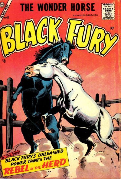 Black Fury #9 Comic