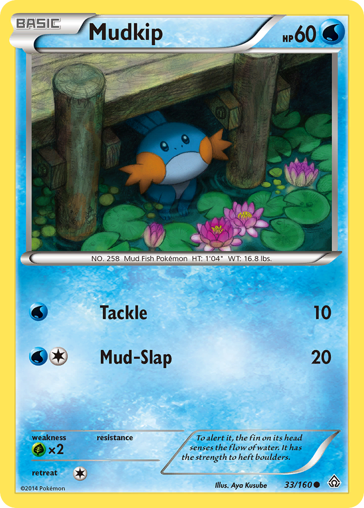 Mudkip (33/160) - Primal Clash Pokémon Card