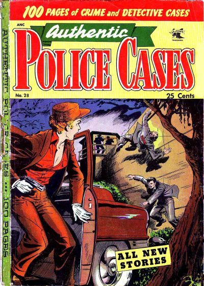 Authentic Police Cases #28 Comic