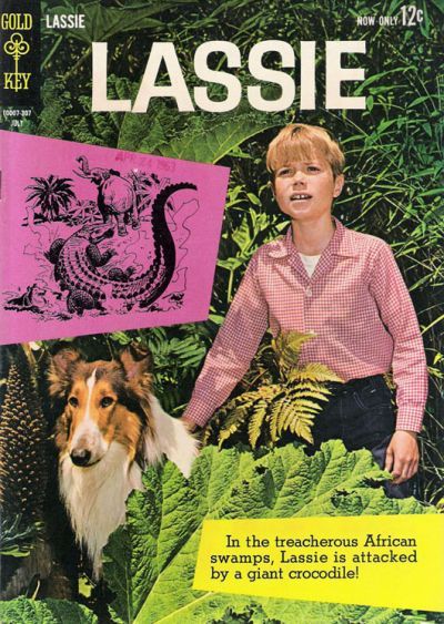 Lassie #62 Comic