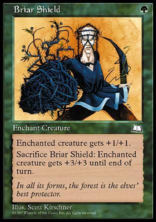 Briar Shield (Weatherlight) Trading Card