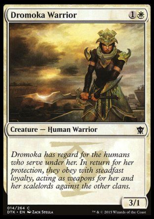 Dromoka Warrior (Dragons of Tarkir) Trading Card