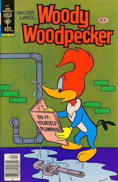 Walter Lantz Woody Woodpecker #177 Comic