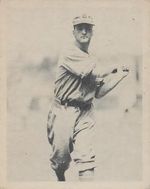 Boston Bees
