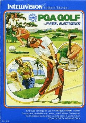 PGA Golf Video Game