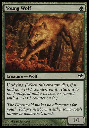 Young Wolf (Dark Ascension) Trading Card