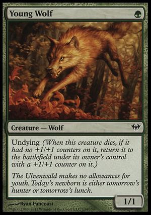 Young Wolf (Dark Ascension)