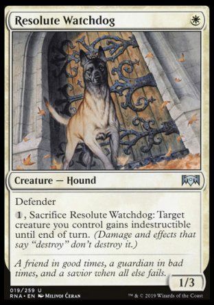 Resolute Watchdog (Ravnica Allegiance) Trading Card