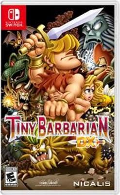 Tiny Barbarian DX Video Game