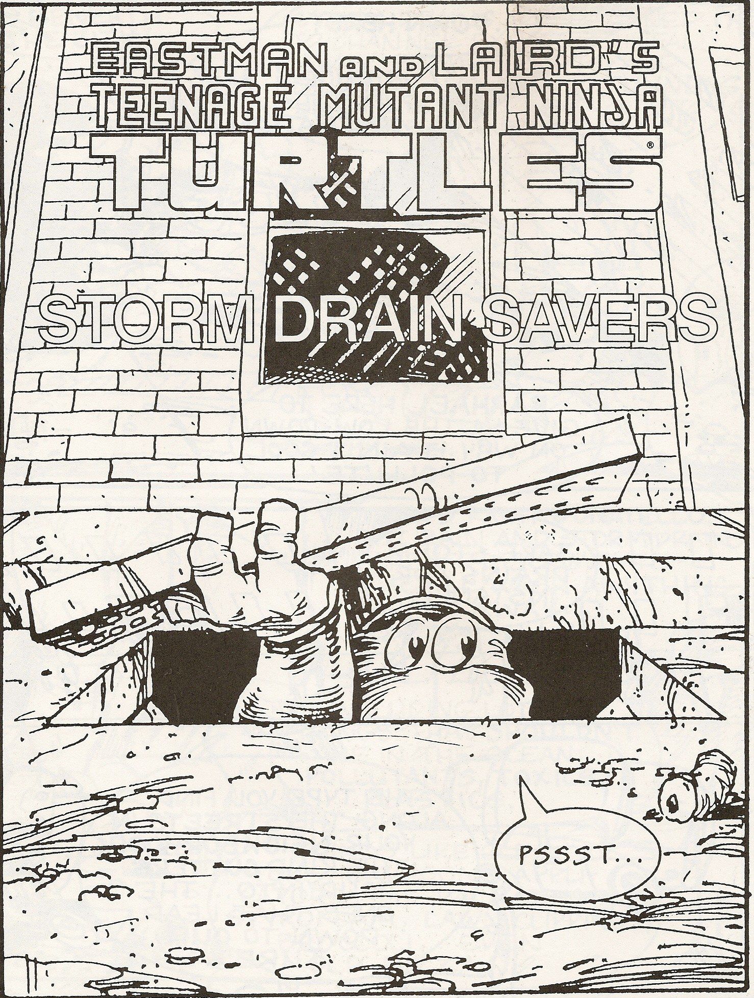 Teenage Mutant Ninja Turtles: Storm Drain Savers Comic