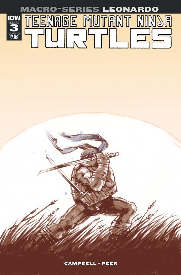 Teenage Mutant Ninja Turtles Macro-Series #3 (Cover B Campbell)