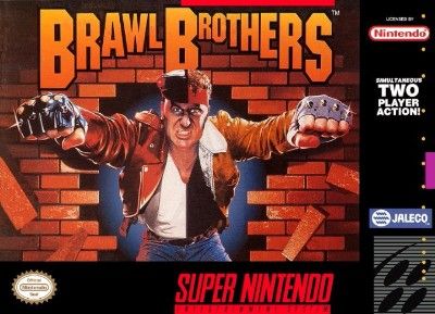Brawl Brothers Video Game