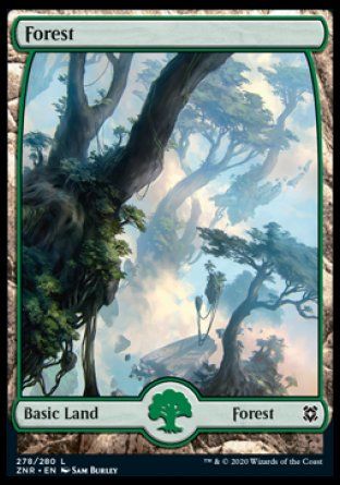 Forest (Zendikar Rising) Trading Card