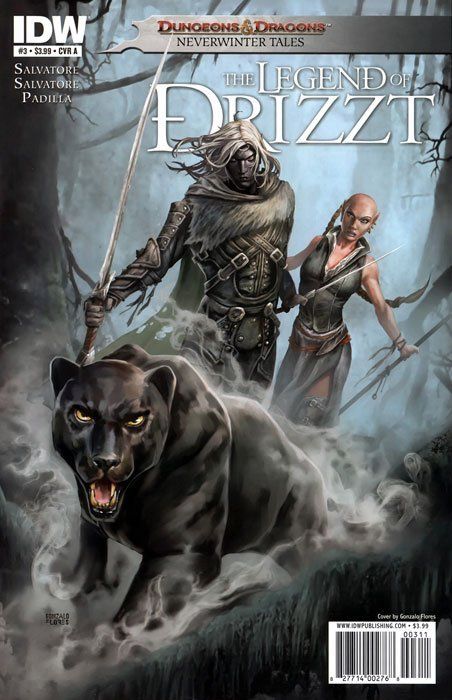 Dungeons & Dragons: The Legend of Drizzt #3 Comic