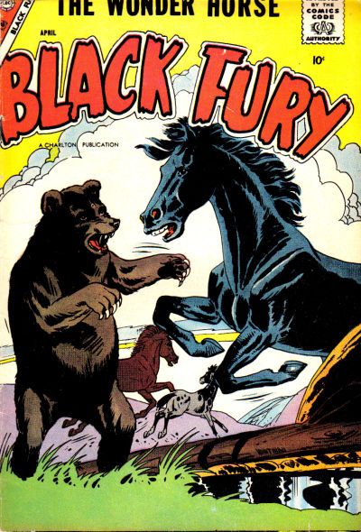 Black Fury #13 Comic