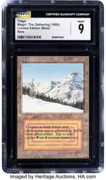 Taiga (Beta)