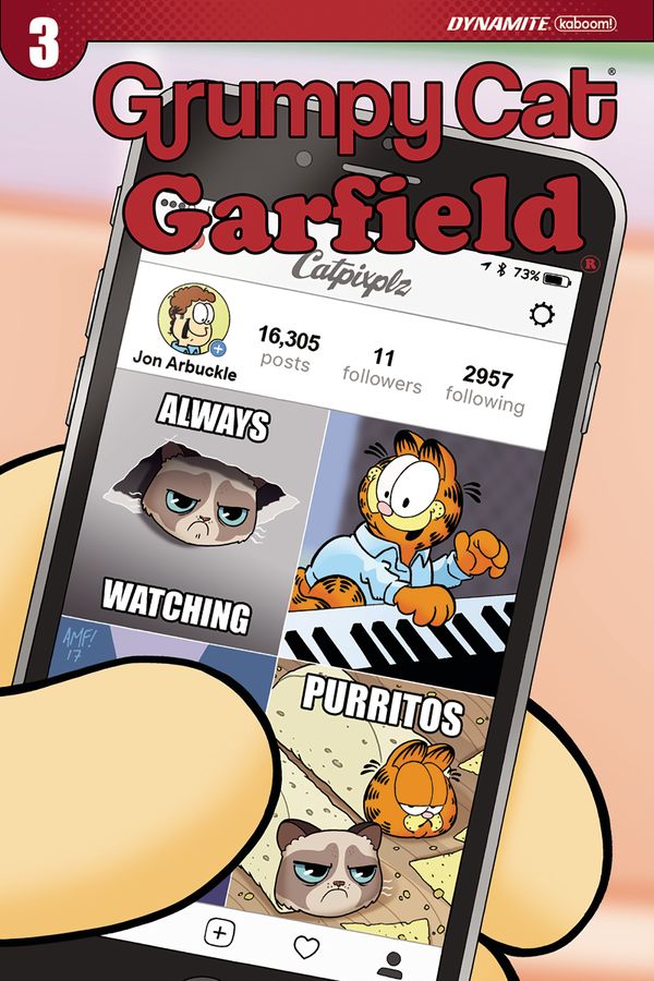 Grumpy Cat Garfield #3 (Cover D Fleecs)