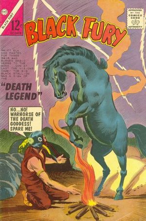 Black Fury #49
