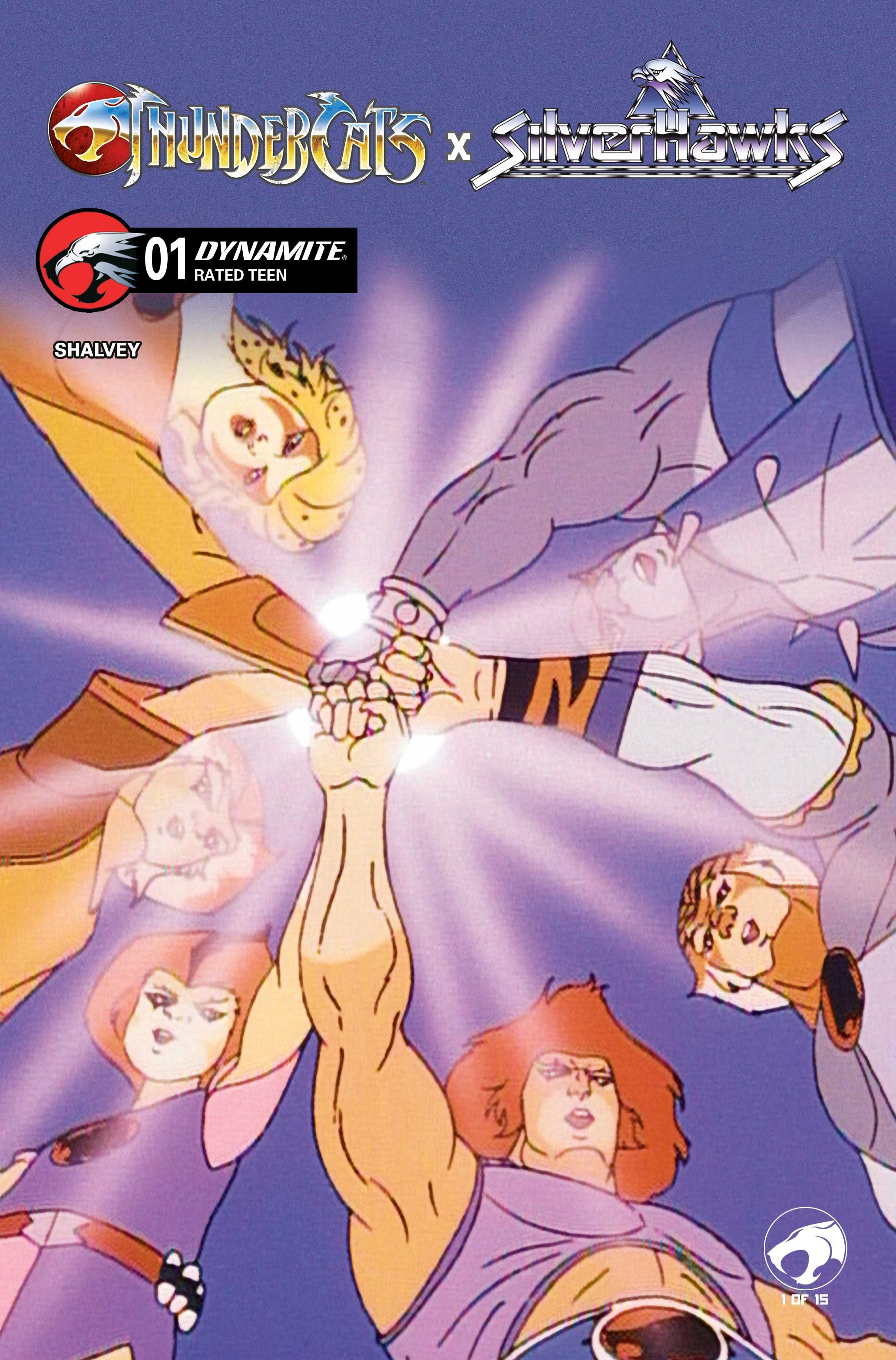 Thundercats X Silverhawks #1 (Cvr E Animation Art Variant) Comic