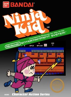 Ninja Kid Video Game