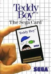 Teddy Boy Video Game