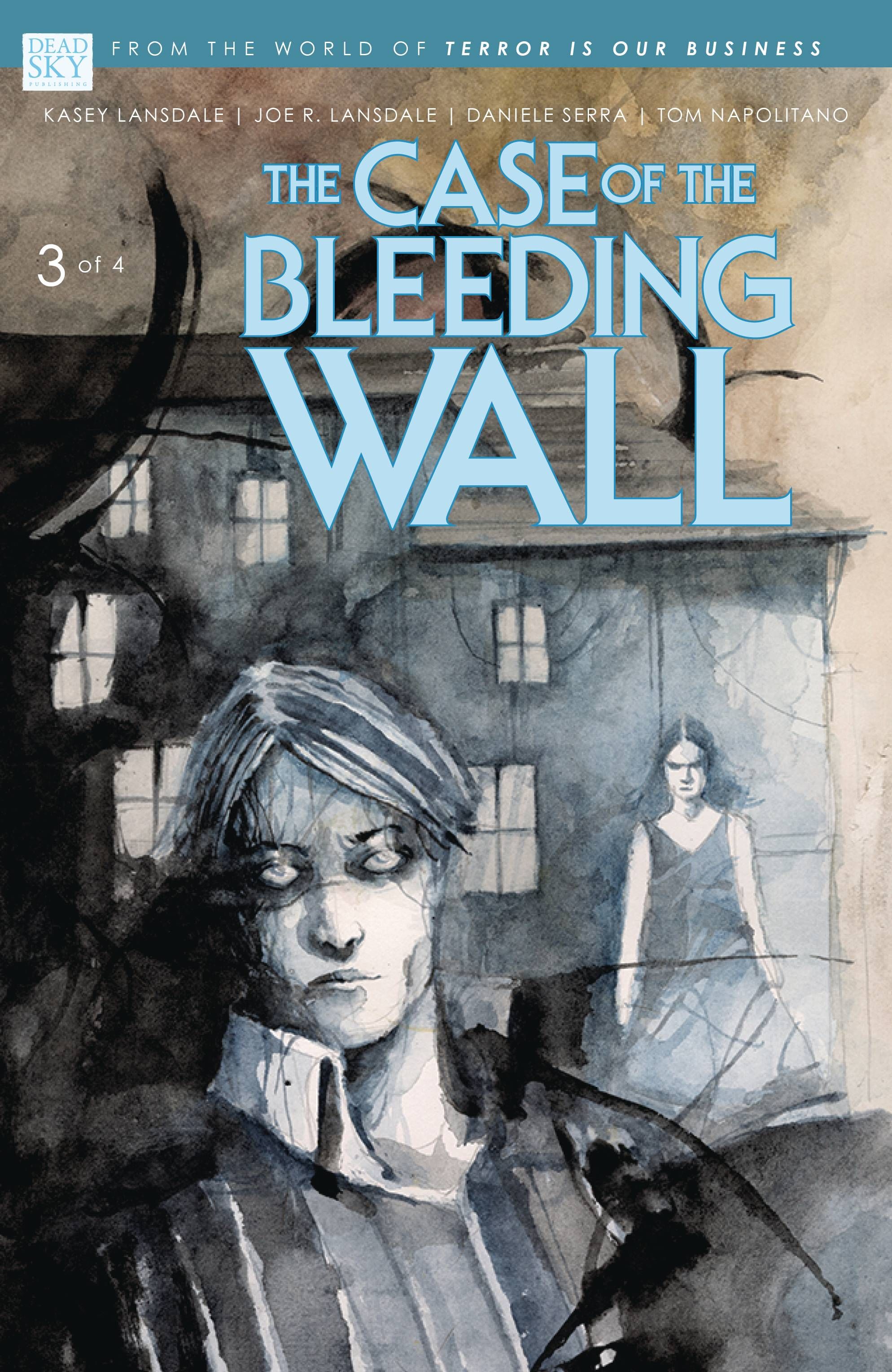 Case of the Bleeding Wall #3 Comic