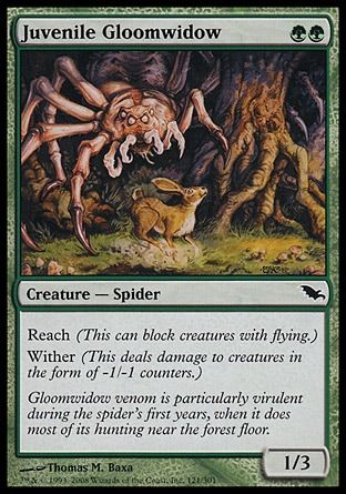 Juvenile Gloomwidow (Shadowmoor) Trading Card