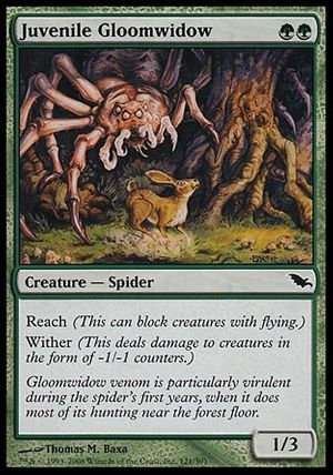 Juvenile Gloomwidow (Shadowmoor)