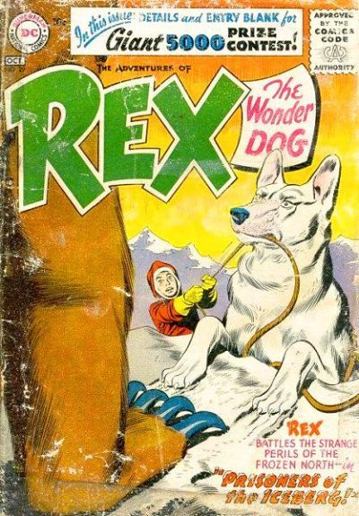 The Adventures of Rex the Wonder Dog #29 Comic