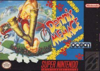 Dennis the Menace Video Game