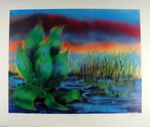 Wetlands I