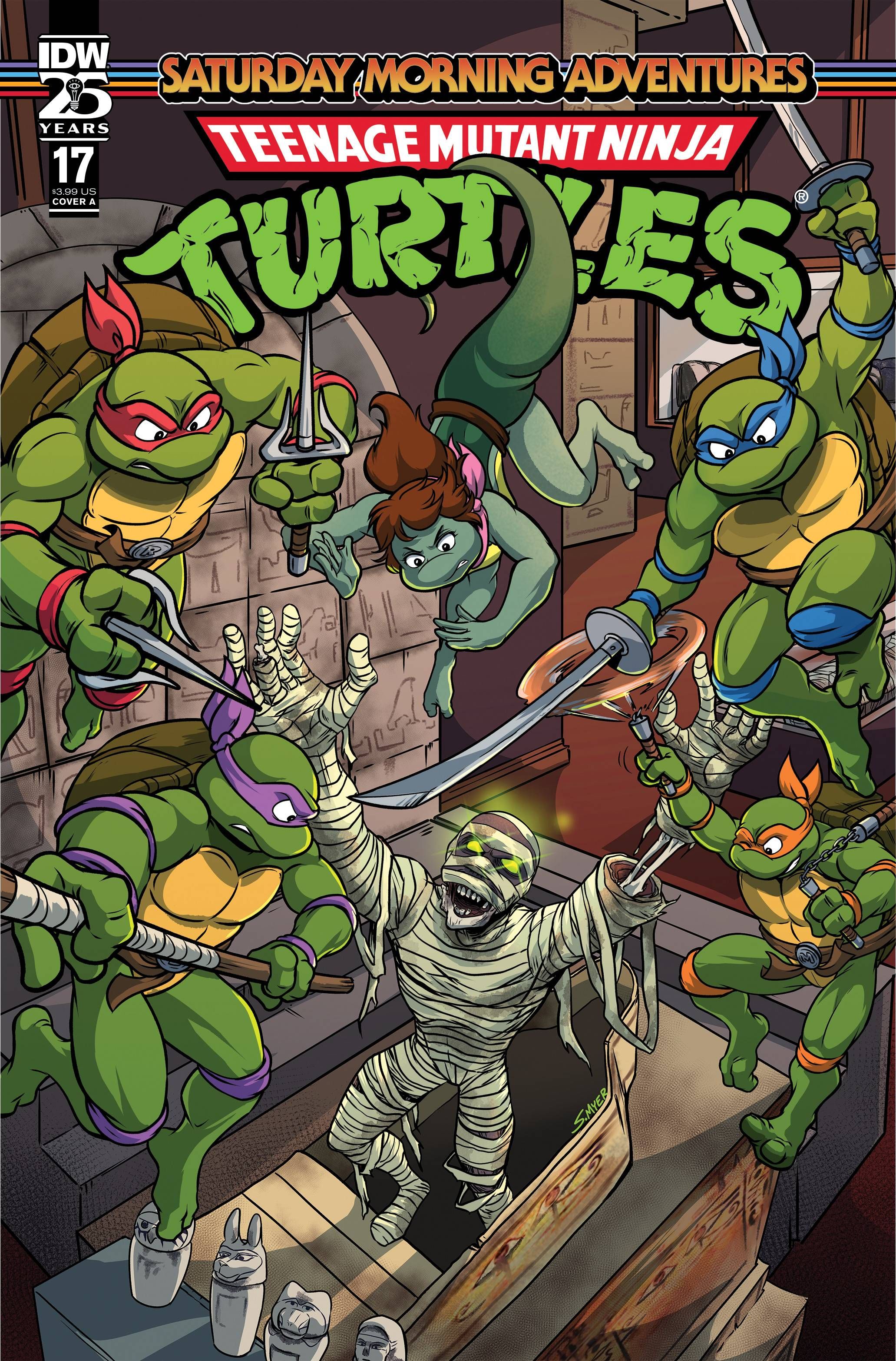 Teenage Mutant Ninja Turtles: Saturday Morning Adventures #17 Comic