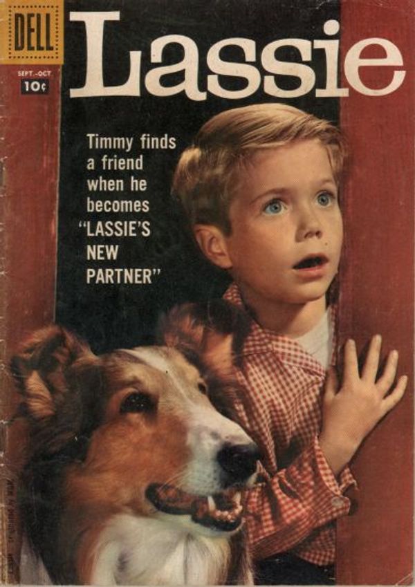 Lassie #42
