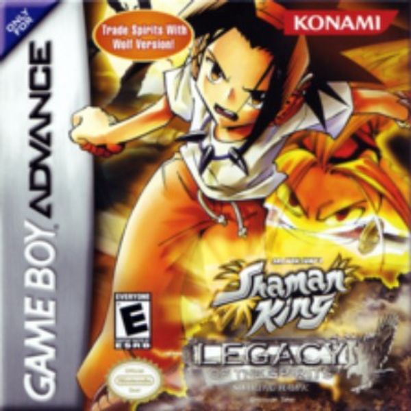 Shaman King: Legacy of the Spirits: Soaring Hawk