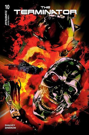 Terminator #10 (Cvr C Cat Staggs Variant)