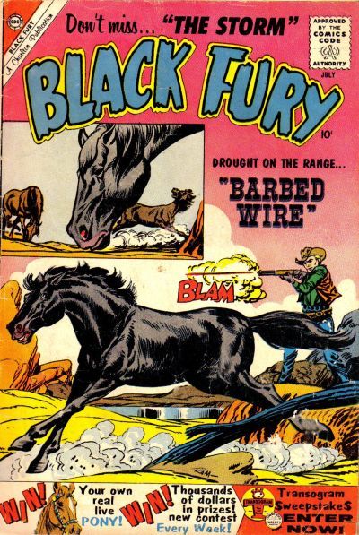 Black Fury #25 Comic