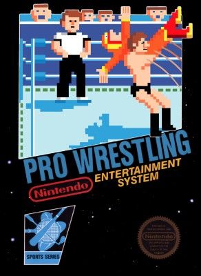 Pro Wrestling Video Game