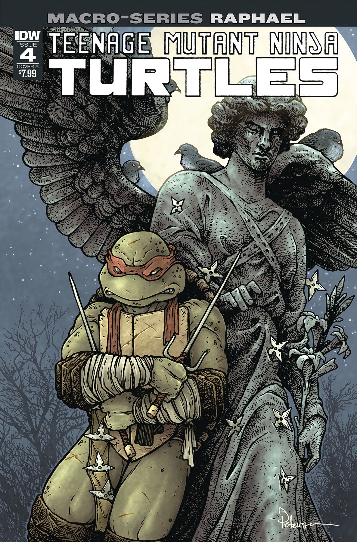 Teenage Mutant Ninja Turtles Macro-Series #4 (Raphael) Comic