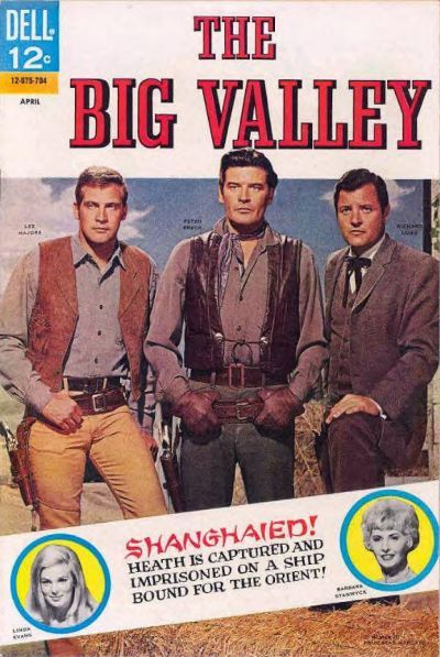 Big Valley #4 Comic