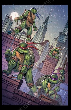 Teenage Mutant Ninja Turtles 30th Anniversary Special #nn (NYCC Variant)