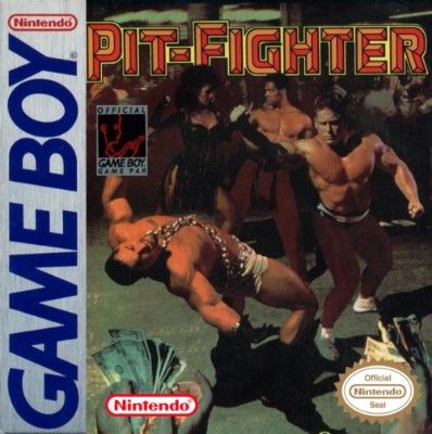 Pit-Fighter Video Game