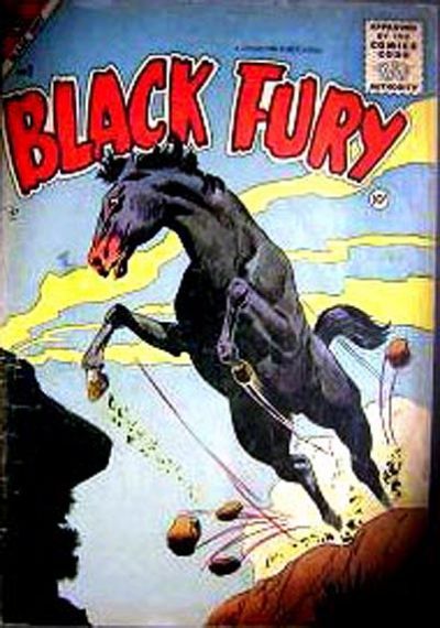 Black Fury #2 Comic