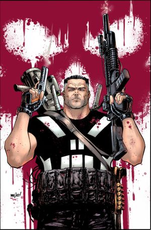 Marvel Knights: Punisher #1 (David Marquez Ratio Virgin 2nd Printing Variant)