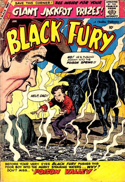 Black Fury #19 Comic