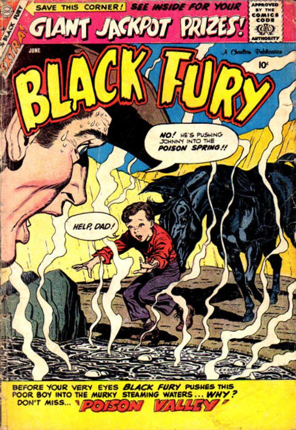Black Fury #19
