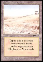 Elephant Graveyard (Arabian Nights)