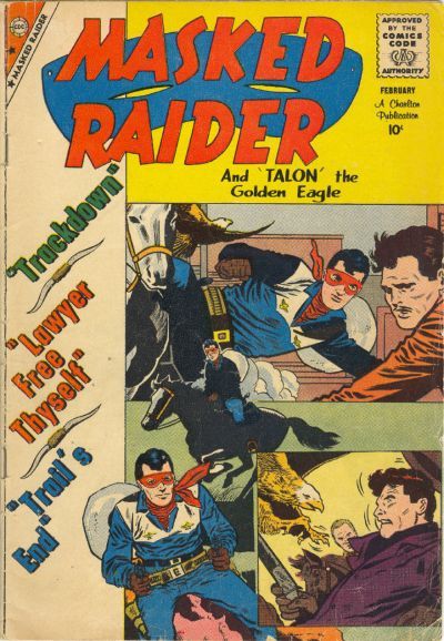 Masked Raider #22 Comic