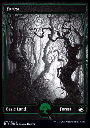 Forest (Innistrad: Midnight Hunt) Trading Card