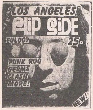 Flipside #1